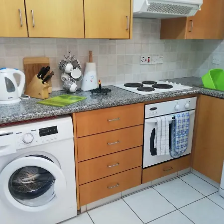 Olive Tree ペイヤ