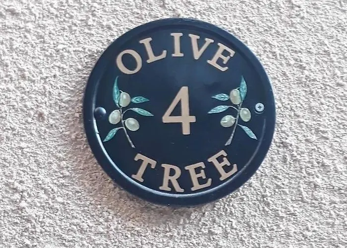 Olive Tree *