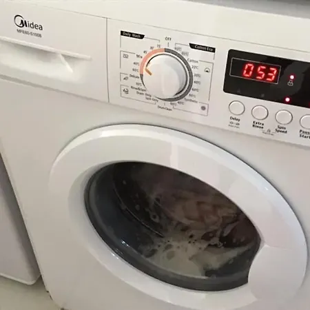 Olive Tree * Pégeia