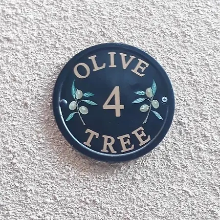 Olive Tree *