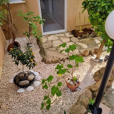 Olive Tree
