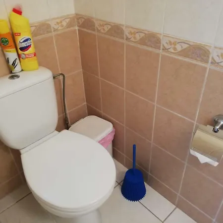 Olive Tree * Pégeia