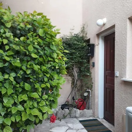 Olive Tree וילה *