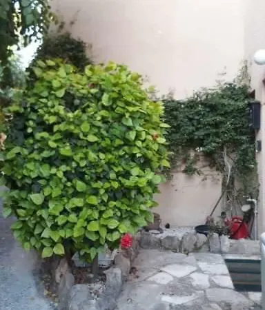 Olive Tree Villa