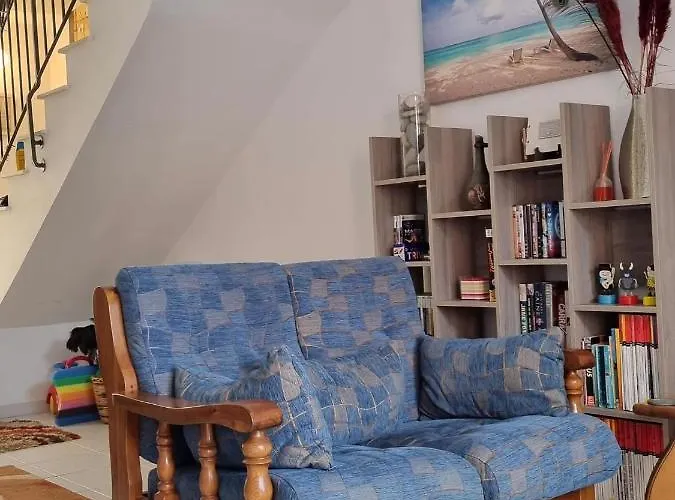 Olive Tree * 페이야