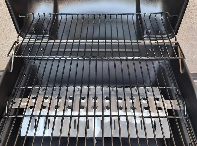 Olive Tree * 페이야