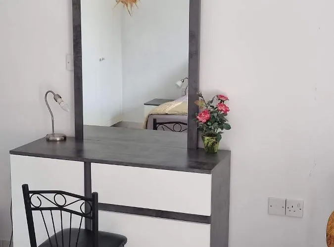 Olive Tree * 페이야