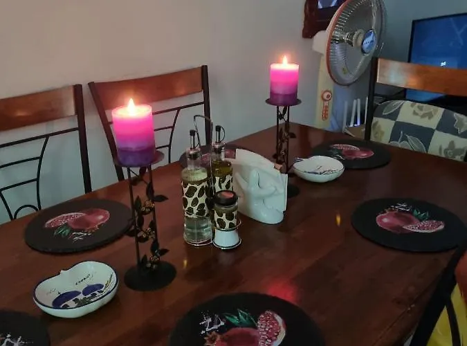 Olive Tree * 페이야